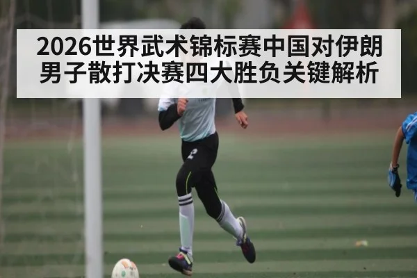 2026世界武术锦标赛中国对伊朗男子散打决赛四大胜负关键解析