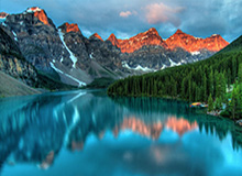 开云APP-沙尔克彻底乱套！技术总监下课+伊比解约+两人停训